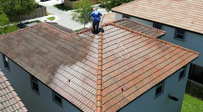Roof Softwash