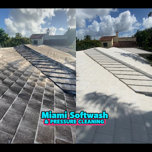 roof wash near me