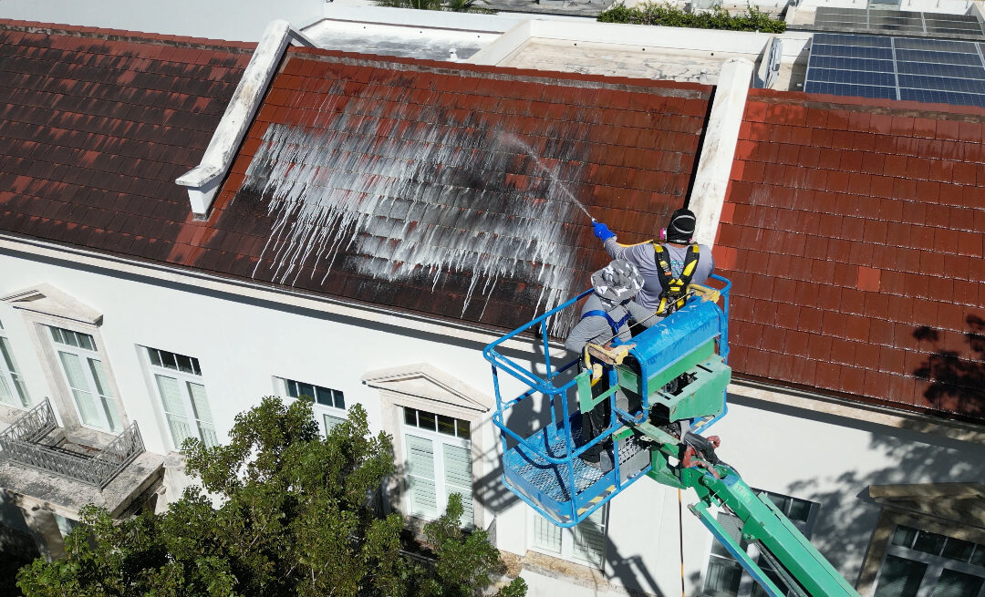 How to Clean Moss Off the Roof: Expert Roof Cleaning & Moss Removal in Miami, FL