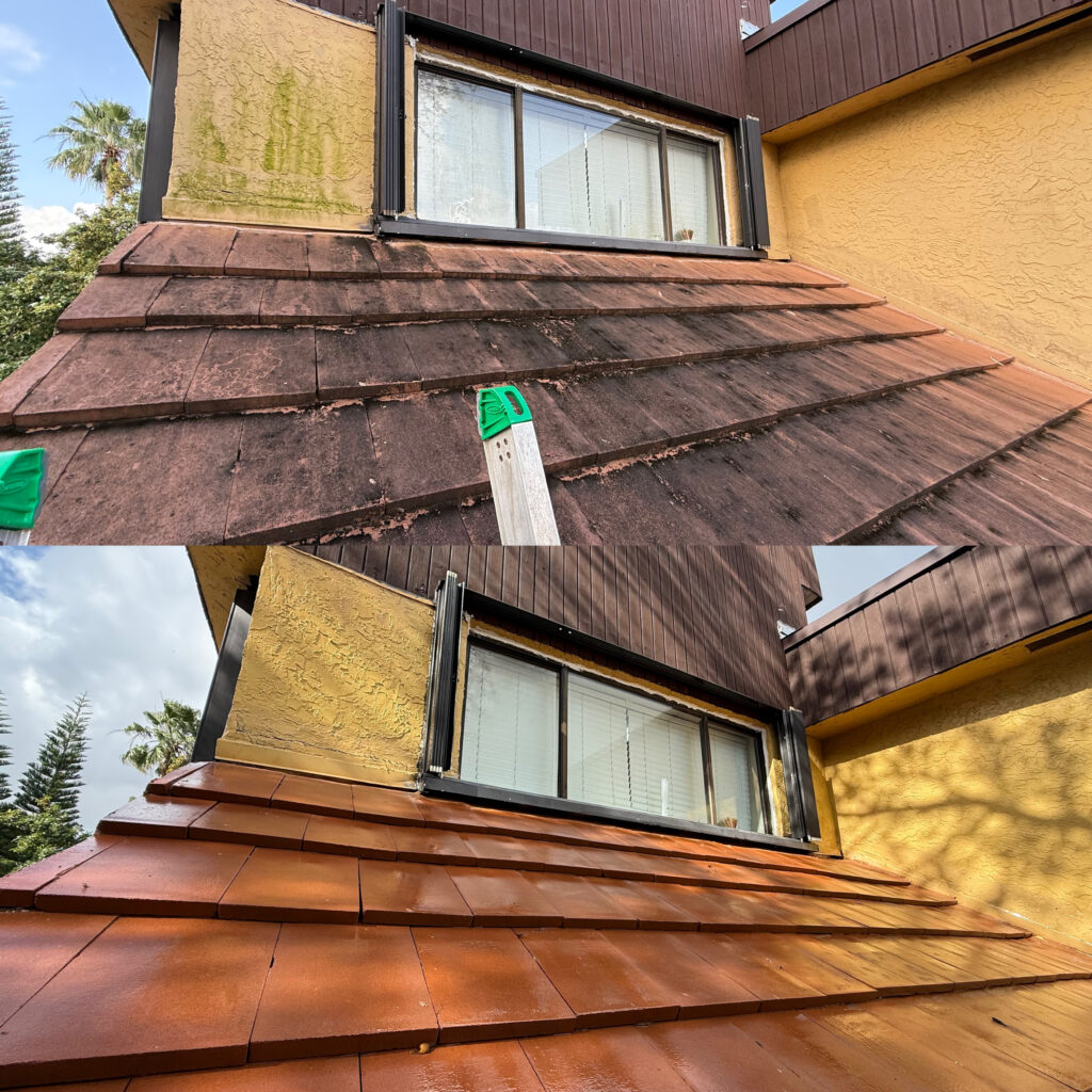 roof softwash