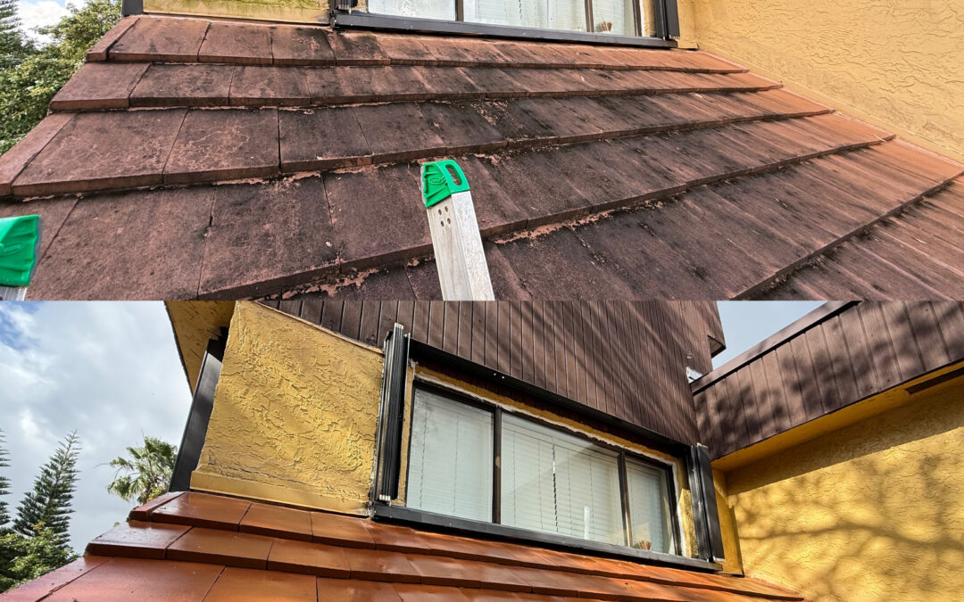 Best Roof Cleaning Services Near Me – Professional Roof Washing in Miami, FL