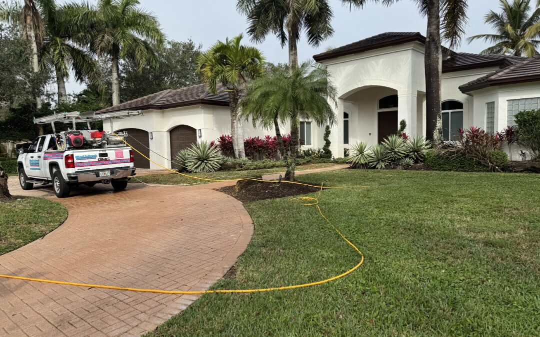 How to Clean Roof Tiles Without a Pressure Washer
