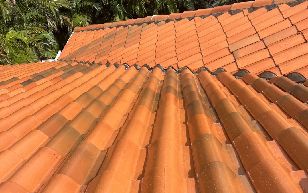 Safe & Effective Roof Cleaning Services in Miami | Soft Wash Done Right