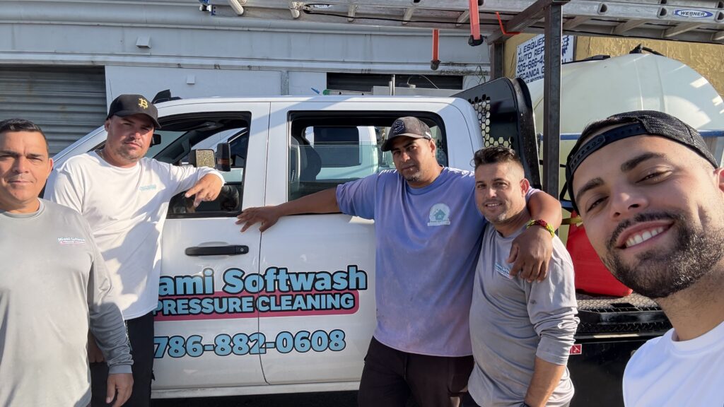 Professional Roof Washing Services