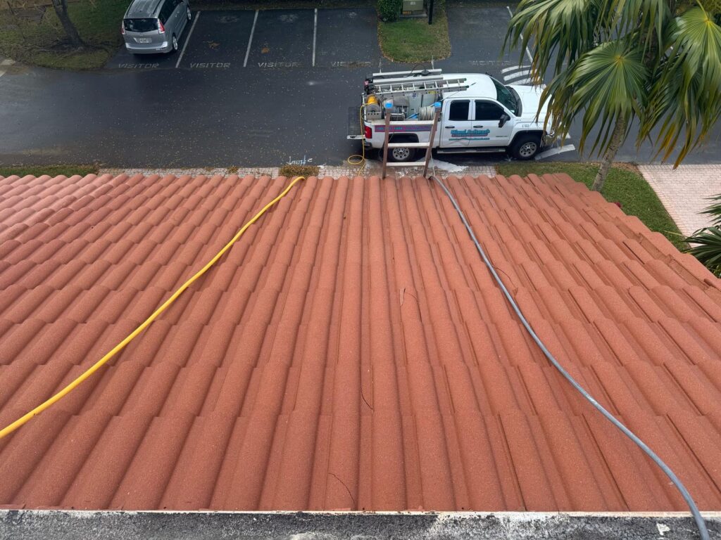 Roof Cleaning Services