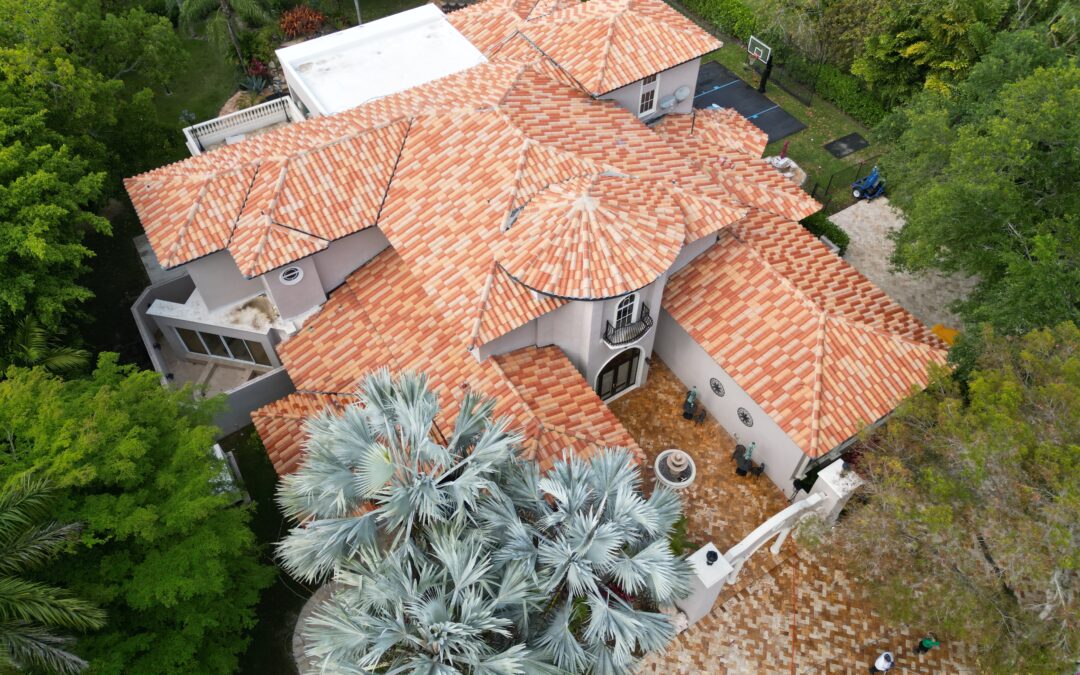 Roof Cleaning Near Me in Miami | Safe Soft Wash for Long-Lasting Results