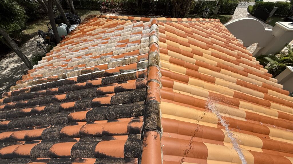 Roof Softwash