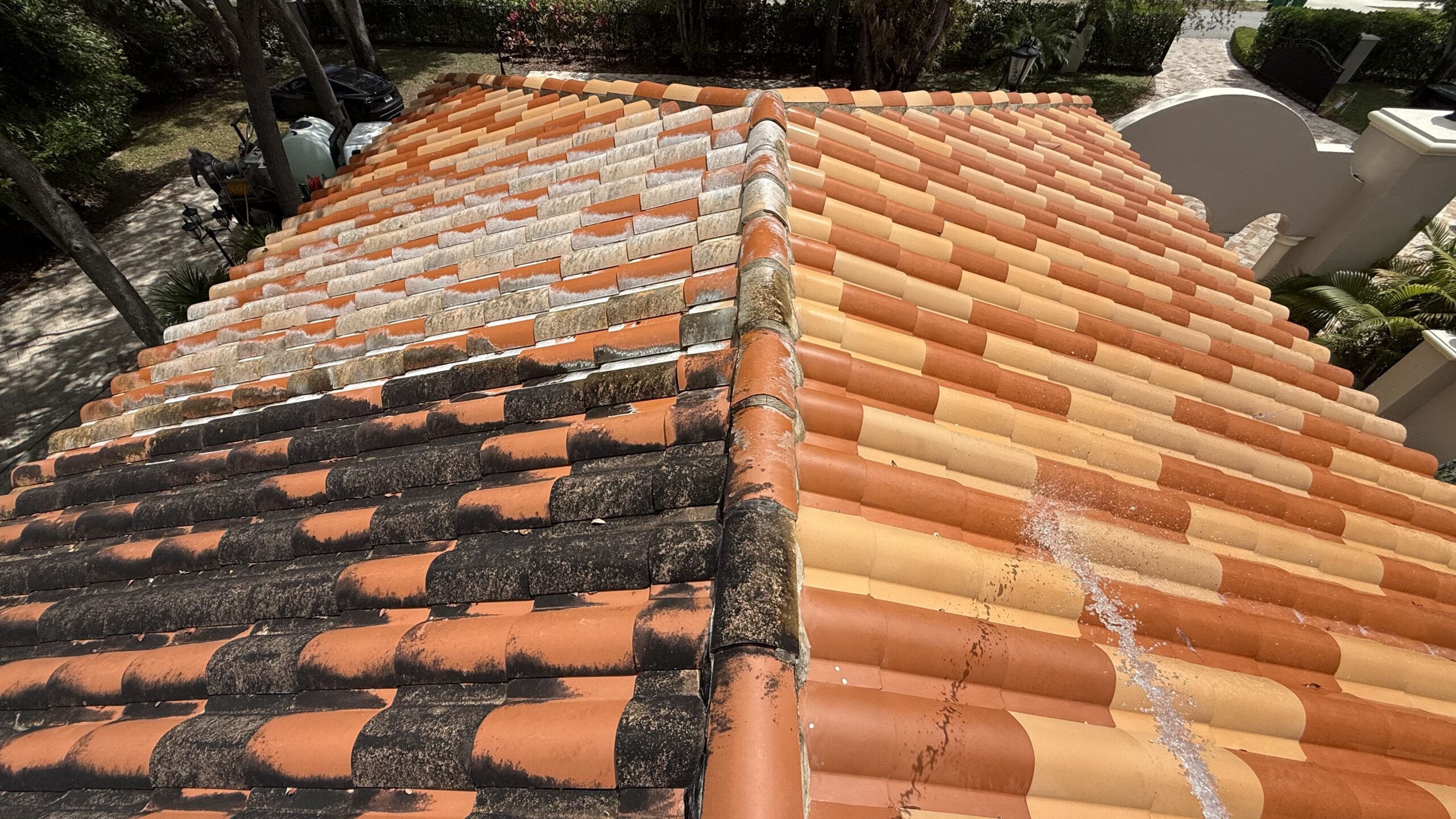 Roof Softwash