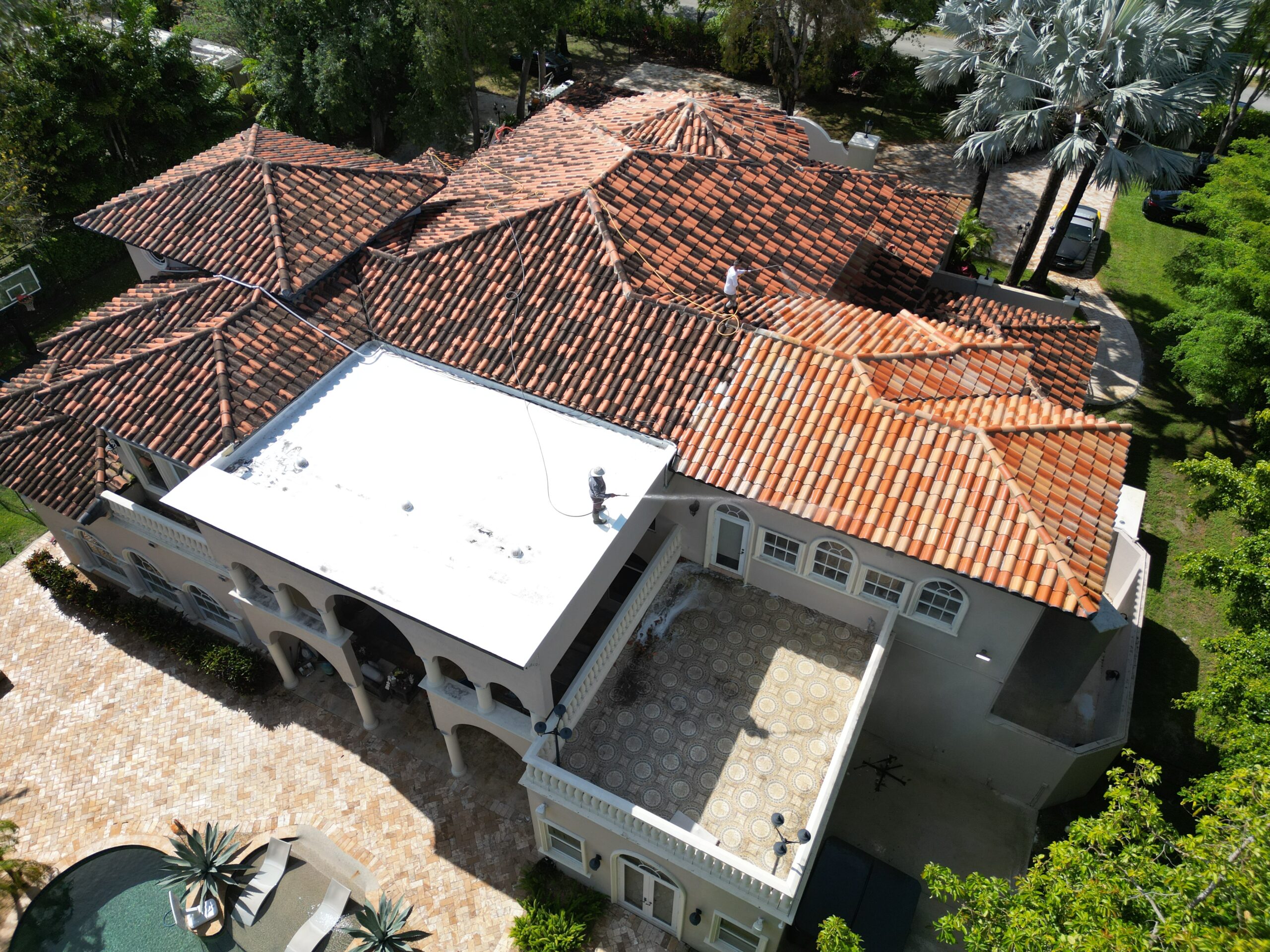 Roof Softwashing Services