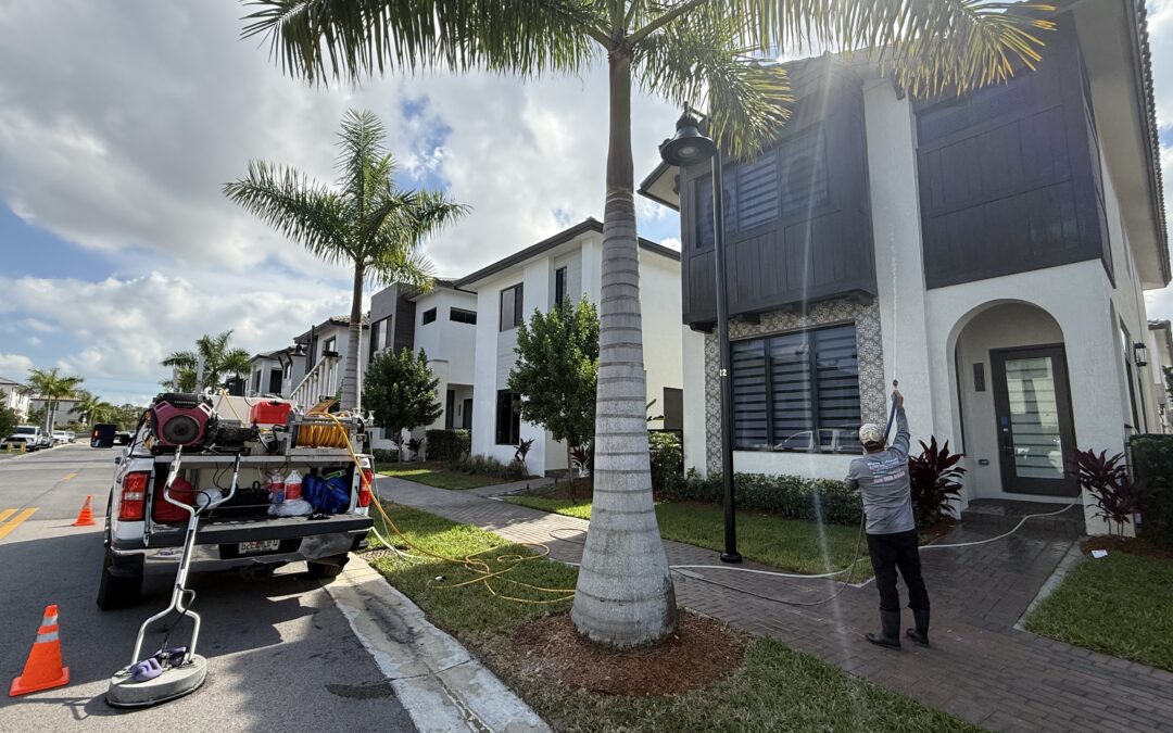 Top-Rated House Pressure Washing in Miami | Local Experts Near You