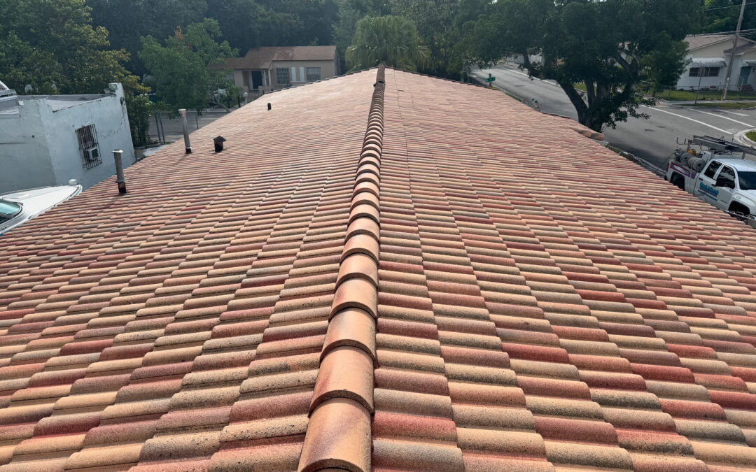 Affordable Residential Roof Cleaning in Miami, FL – Free Estimates Available