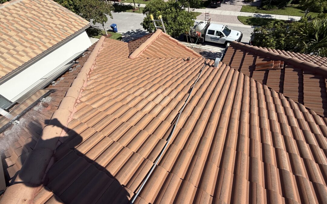 Miami Roof Cleaning Prices: Everything You Need to Know Before Hiring a Pro