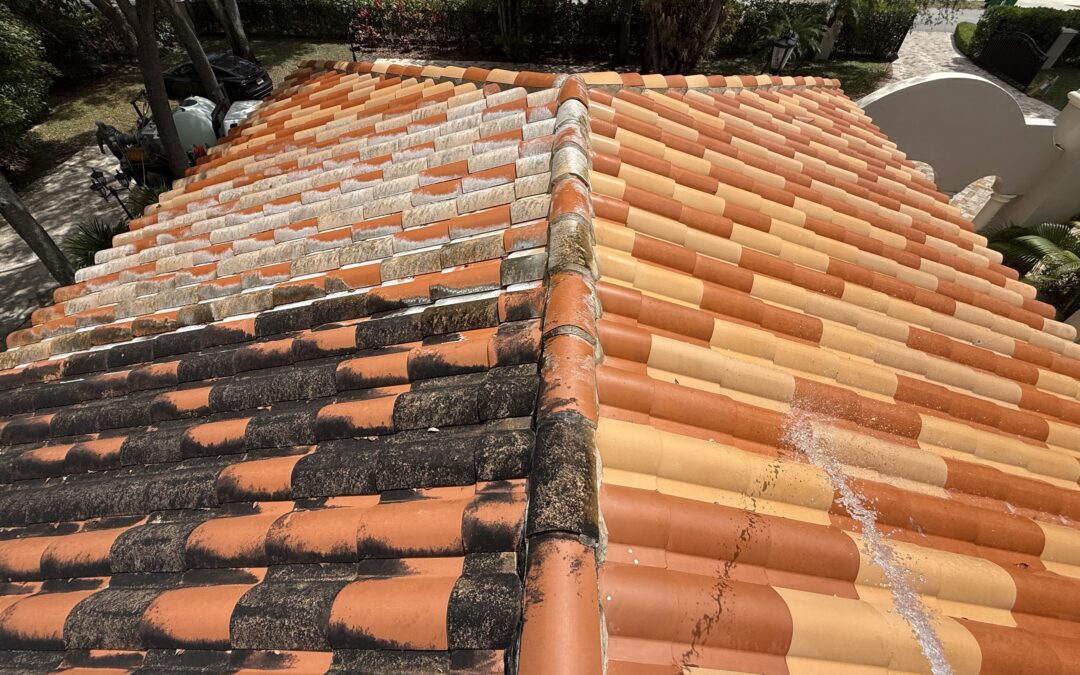 Roof Algae Removal Miami | Extend Your Roof’s Life with Professional Washing