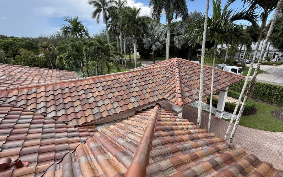 Tile Roof Cleaning Miami: Professional Soft Wash Solutions You Can Trust