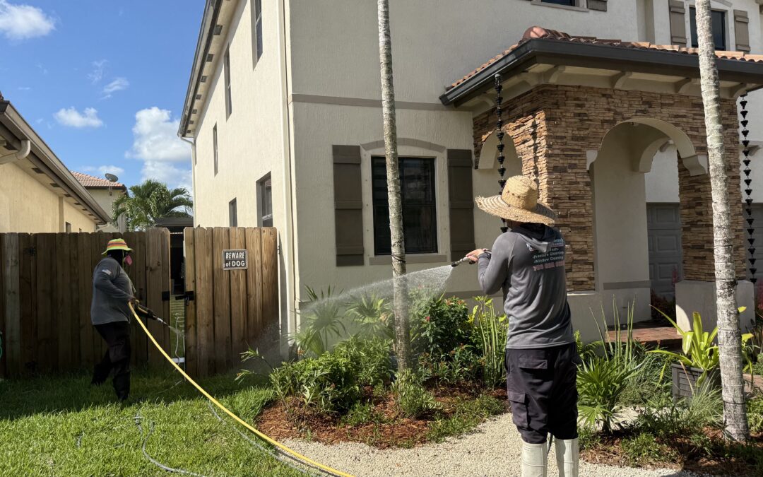 Affordable Pressure Washing Near Me | Quality Exterior Cleaning That Fits Your Budget