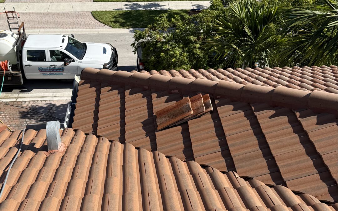 Professional Roof Washing: Extend Roof Life & Boost Curb Appeal with Expert Cleaning