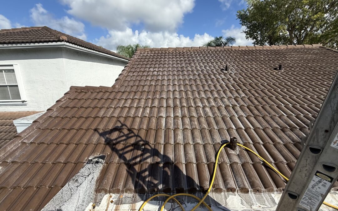 Roof Soft Wash Maintenance Miami: Keep Your Roof Clean and Long-Lasting