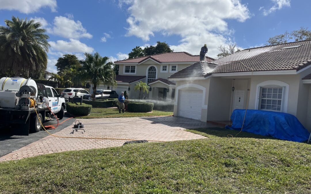 Roof Cleaning Tips: The Do’s and Don’ts Every Homeowner Should Know