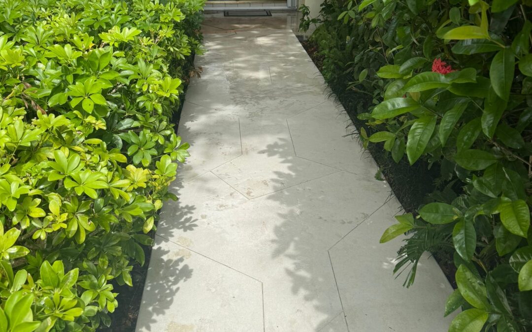 Walkway Cleaning Services: How to Restore a Safe and Beautiful Pathway
