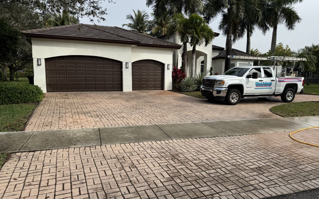 Driveway Algae and Mildew Removal in Coral Gables FL: Stop Slippery Surfaces Fast