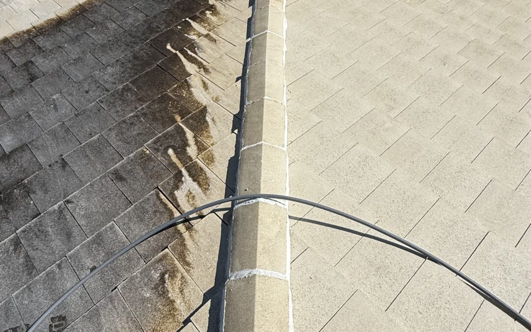 How to Remove Black Roof Mold Safely Without Damaging Your Roof