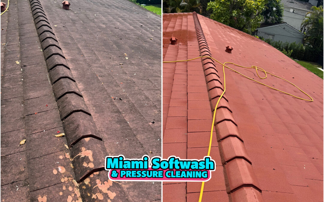 How to Remove Roof Streaks: What Causes Them and the Best Removal Methods