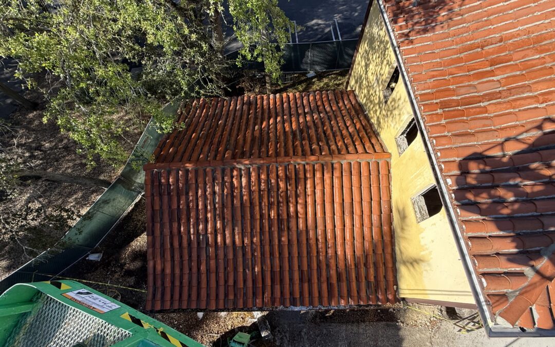 Safe Roof Cleaning Methods in Miami FL: Protect Your Home Without Damaging Your Roof