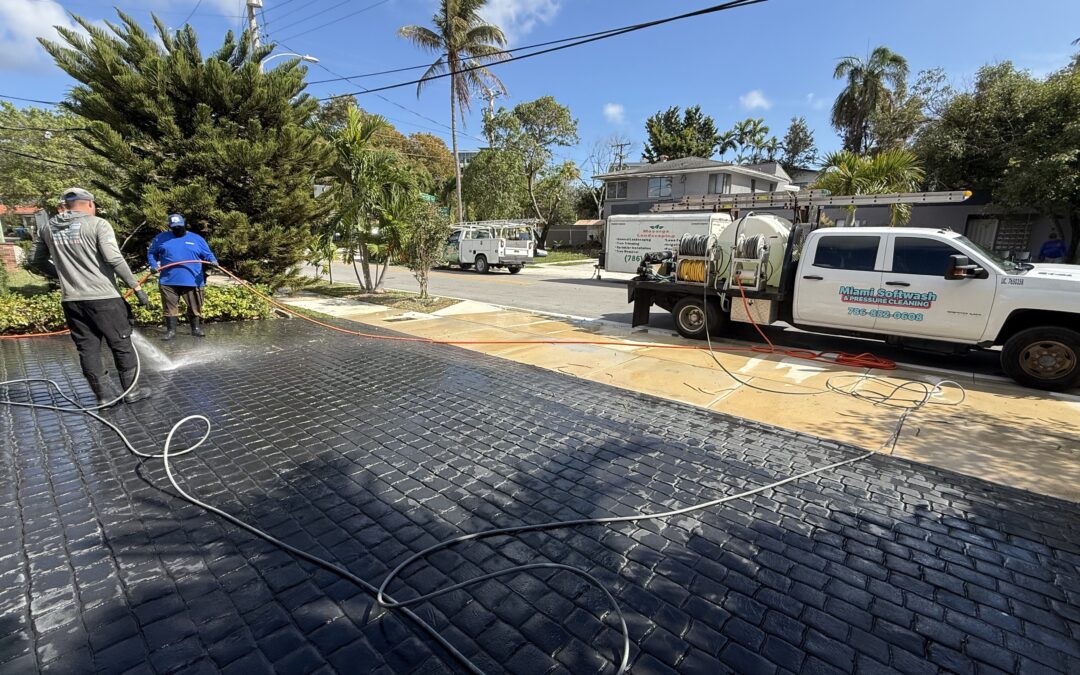 Top Pinecrest Driveway Power Washing Company: Professional Cleaning That Lasts