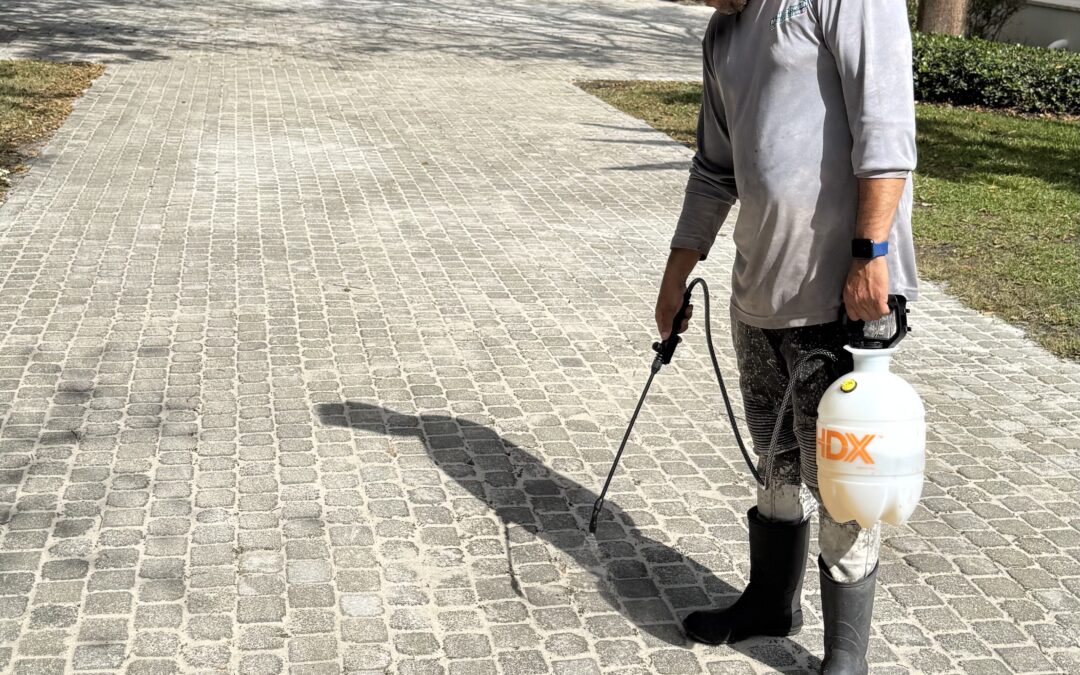 Paver Cleaning for Coral Gables Homes: Restore Driveways, Patios, and Outdoor Spaces
