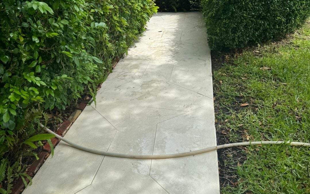 Walkway Pressure Cleaning in Coconut Grove FL: Safer, Cleaner Paths Around Your Home
