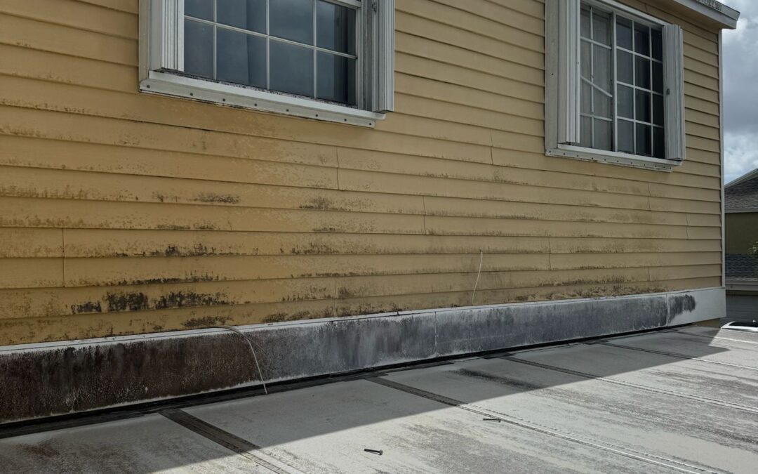 Home Exterior Cleaning in Doral FL: Pressure Cleaning Services for Local Homes