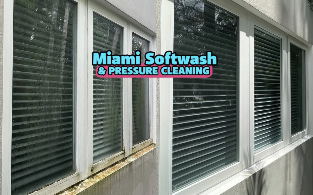 Post-Storm Window Cleaning in Miami FL: Clear Away Dirt, Spots, and Rain Buildup