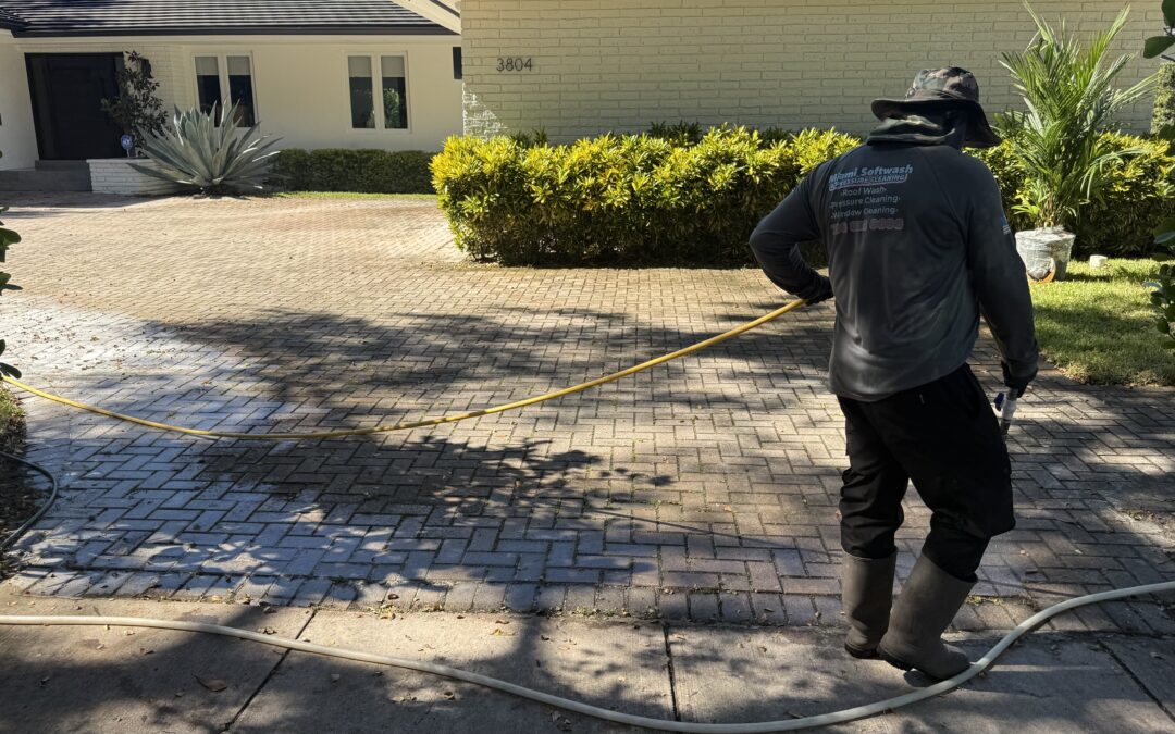 Large Driveway Cleaning in Pinecrest FL: Professional Results for Spacious Residential Properties