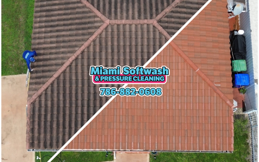 Black Roof Streak Cleaning in Miami FL: Restore a Cleaner, Brighter Roof Appearance