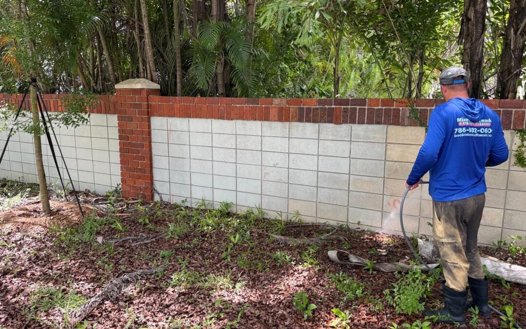 Fence Cleaning in Doral: What to Expect From a Professional